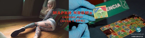хмурый Костерёво