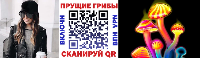 OMG сайт  Оренбург  Псилоцибиновые грибы мухоморы 