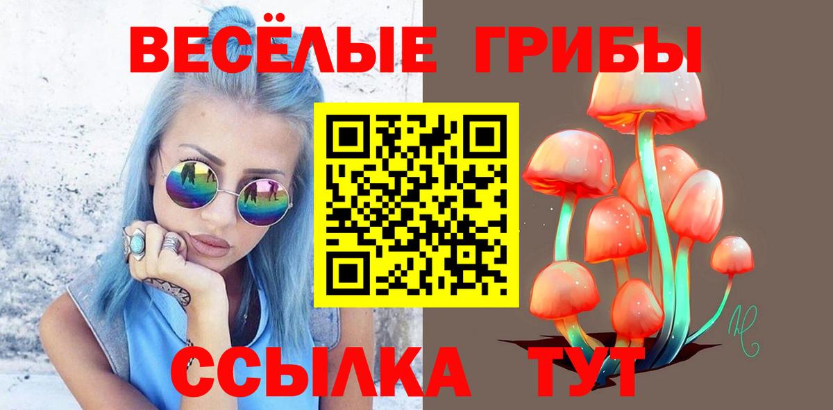 Галлюциногенные грибы Psilocybe  Вход с VPN  Оренбург 